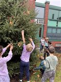 Second_graders_hang_treats_on_holiday_tree.-4